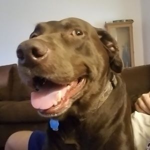 Meet your Posher, Mindy